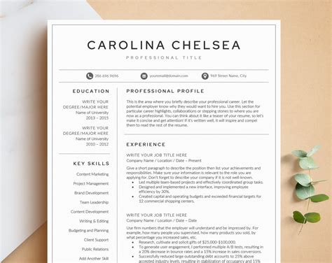 Professional Resume Template For Word Pages Google Docs Business Card