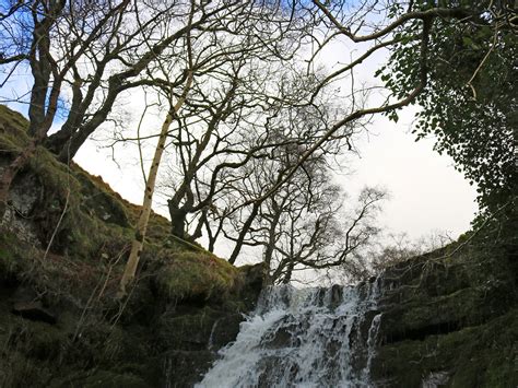 Photographs Of The Caerfanell Waterfalls Powys Wales Trees Above A