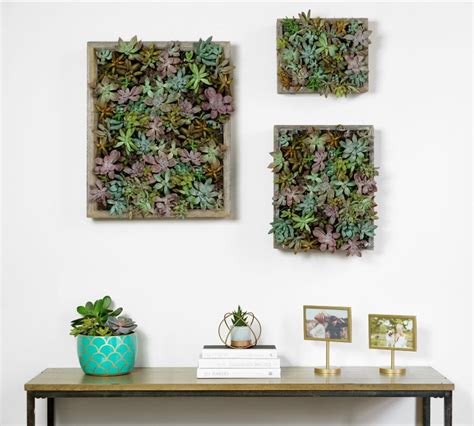 A fairy garden with succulents is a special container filled with miniature plants and cute accessories like small cottages and little benches. how to make a succulent wall garden - My French Twist