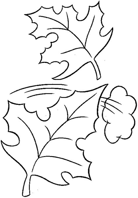 Leaf Coloring Pages - 321 Coloring Pages
