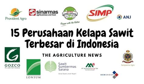 15 Perusahaan Kelapa Sawit Terbesar Tahun 2020 The Agriculture News