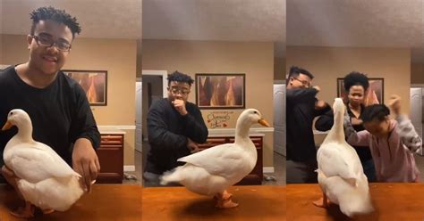 This Video Of A Teen Twerking With His Pet Duck Is All We Need To Get