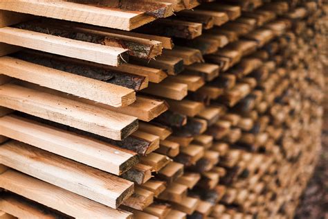 Freshly Cut Wood Stacked For Lumber Air Drying Free Stock Photo Picjumbo