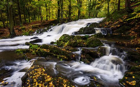 Download Wallpaper 3840x2400 River Trees Stones Water Autumn