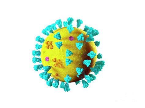 Sars Virus Particle Photograph By Ramon Andrade Dciencia Science Photo