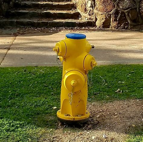 A Yellow Fire Hydrant Sitting In The Grass