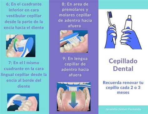 Triptico Cepillado Dental Fernanda Jaramillo Udocz