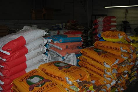 This place has everything from seed to feed and even more. Feed, Seed and Whatever You Need! | The Cullman Tribune