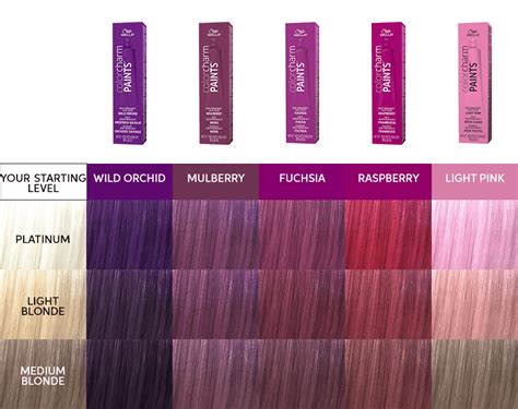 Hair Colors Chart Home Design Ideas