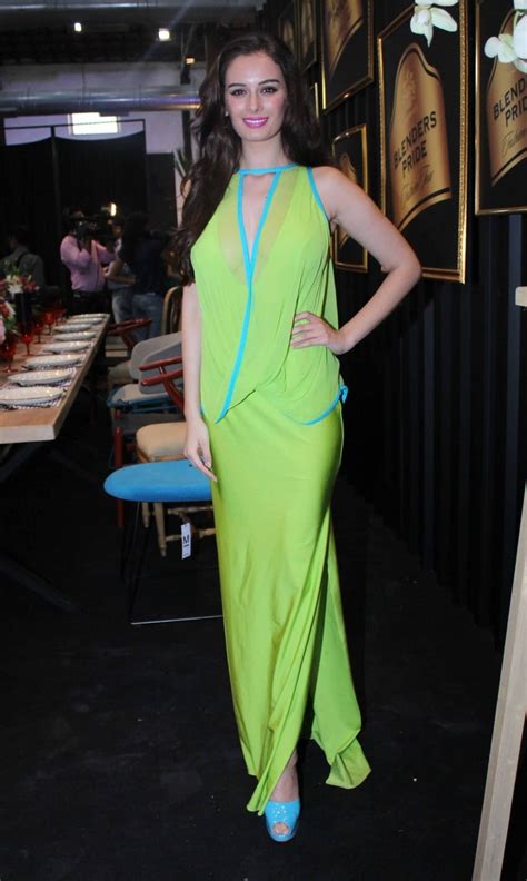 Picture Of Evelyn Sharma