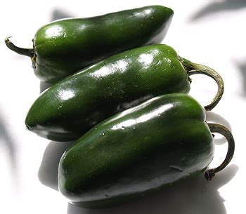 One of the most used in mexican and texan cuisine. Jalapeno Peppers - CooksInfo