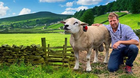 Watch The Yorkshire Vet Prime Video