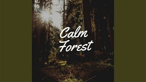 Calm Forest Youtube
