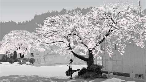 Anime Anime Girls Cherry Blossom Hd Wallpapers Desktop