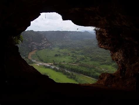 Visiting Caves Can Be An Interesting Adventure Puerto Rico Has About