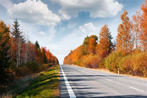Autumn Landscape With Road And Forest Stock Photo Image Of Alpine