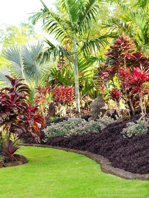 19 Most Popular Ideas For A Tropical Themed Garden