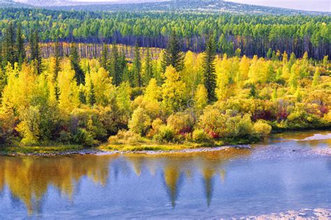 Autumn Landscape Alaska North America Stock Image Image Of Autumn