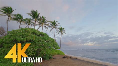 4k Sunrise At Maui Island Relaxing Sound Of Ocean Waves Crashing 3