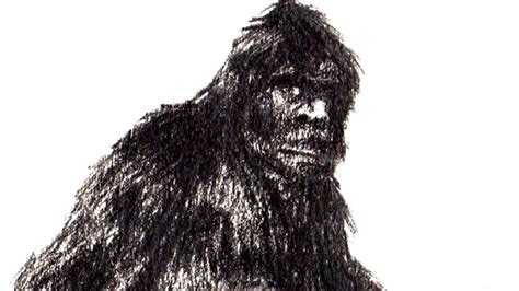 Michigan Monsters The Hunt For Bigfoot Continues As