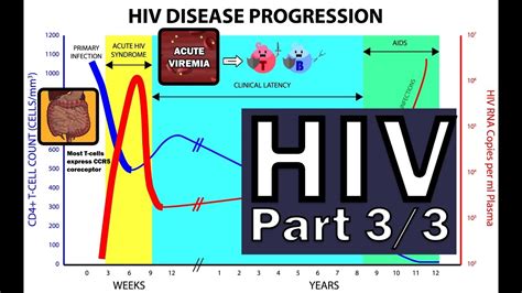 Hiv Pathophysiology 33 Disease Progression Youtube