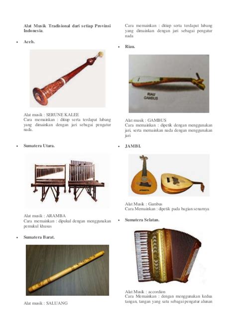 Alat musik tifa di daerah papua dan di daerah maluku memiliki fungsi yang sama. Alat Musik Tradisional Papua Barat Guoto - Berbagai Alat