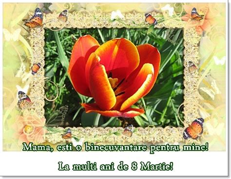 Felicitari de 8 martie, felicitari cu mesaje de 8 martie. 8 martie fericit si felicitari originale pentru mama | Timp liber