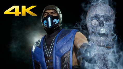 Mortal Kombat 11 Sub Zero All Skins Intros And Victory Poses 4k 60fps
