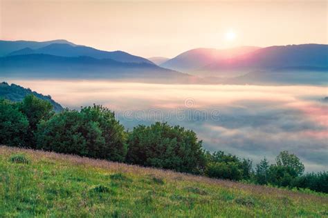 Colorful Summer Sunrise In Carpathian Mountain First Sunlight Glowing