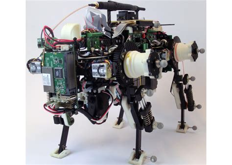 Cooperation Work On Oncilla Open Source Quadruped Robot Dynamic