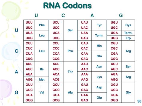 Tetra images/getty images a mineral acid or inorganic acid is any acid derived from an inorganic compound that diss. PPT - DNA and the Genetic Code PowerPoint Presentation