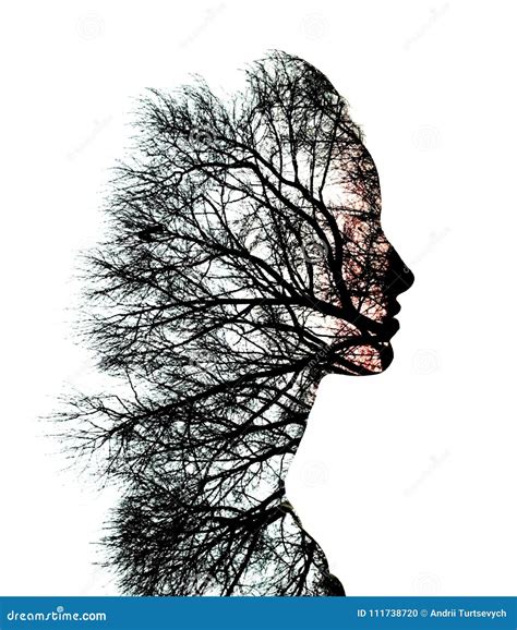 Double Exposure Female Silhouette And Trees Stock Photo Image Of