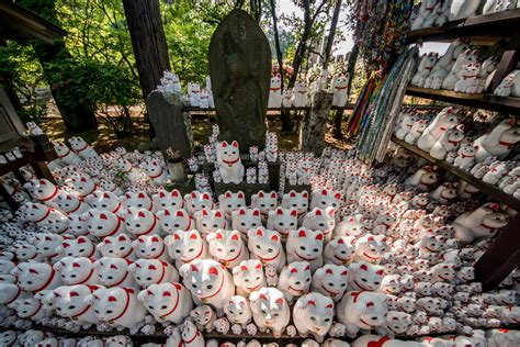 Maneki Neko Shrine At Gotokuji Temple Temple Of The Wavin Flickr