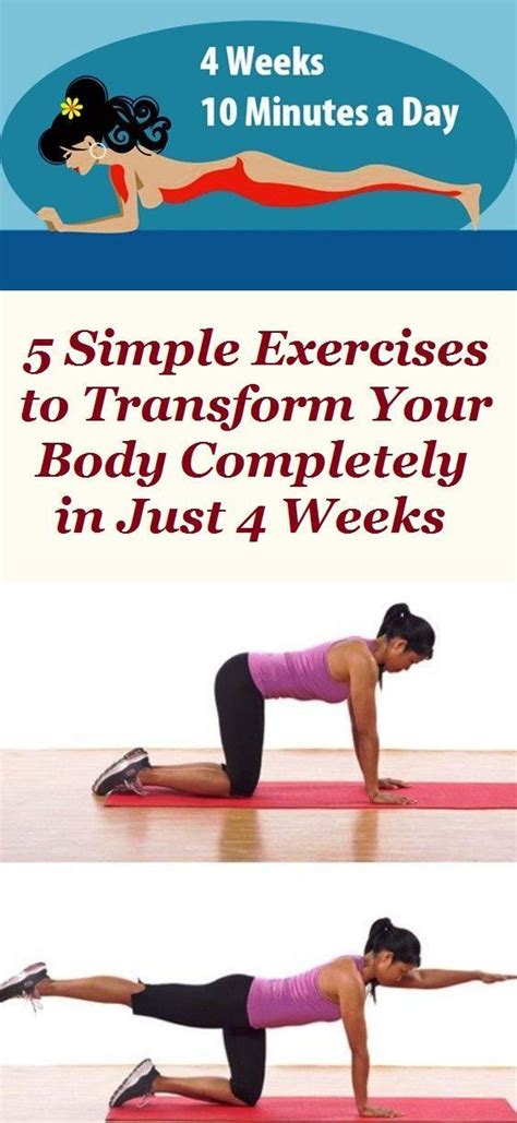 This powerful exercise strengthens your body and burns a lot of calories. 5 Simple Exercises That Will Transform Your Body in Just ...