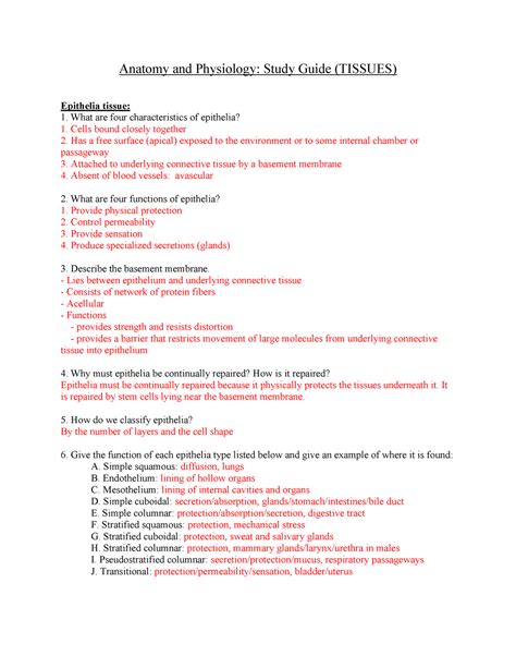 Tissues Study Guide Key 2019 2 Anatomy And Physiology Study Guide