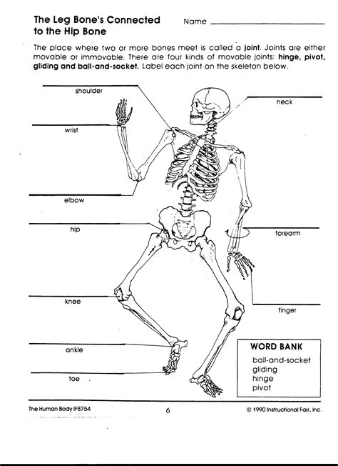 The Skeletal System Answer Key Fill In The Blank A Comprehensive Guide