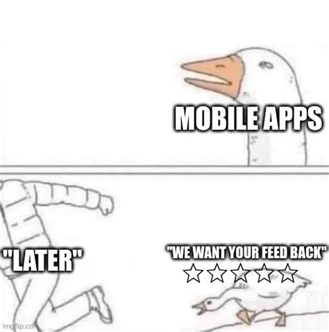 Goose Chase Imgflip