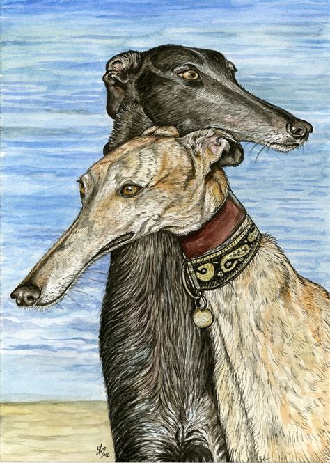 rock  peg dog print art greyhound art dog illustration art