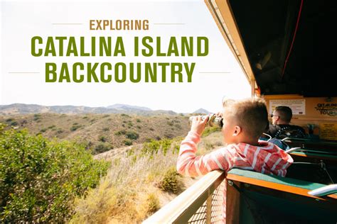 A Guide To Exploring The Catalina Island Backcountry