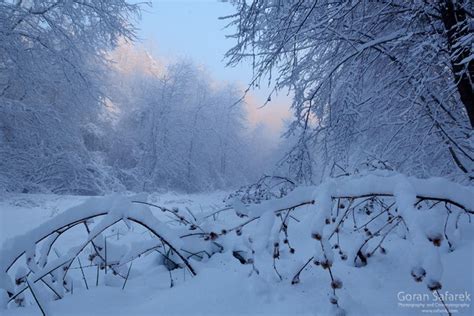 Priroda Zimi Priroda Hrvatske