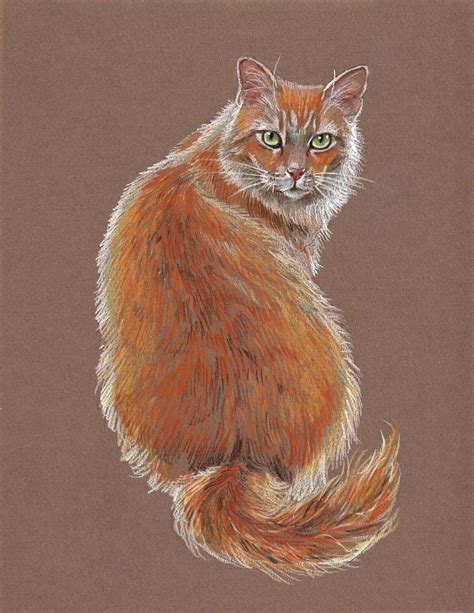 Ready To Draw The Purrfect Cat Colored Pencil Tips Youll Love