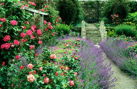 9 Cottage Style Garden Ideas Gardening Ideas