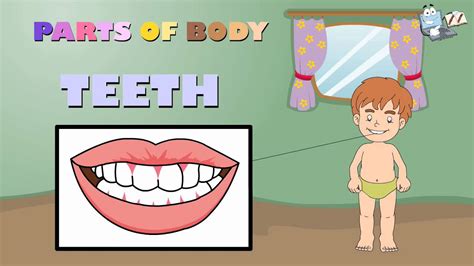 Play some word games to learn and practise parts of the head vocabulary. parts of body name - Kindergarten,Preschool & Junior Kids ...