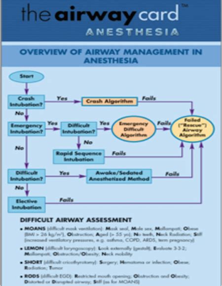The Airway Card Anesthesia Critical Care Pediatrics Management