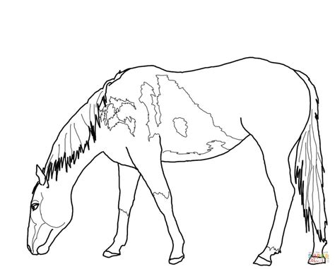 Wild Horse Coloring Pages at GetColorings.com | Free printable
