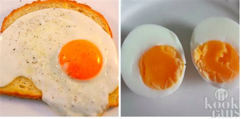 My dad says i should buy shares in a lot of different companies, and not put all my eggs in the one. So, what's healthier: frying or boiling your eggs? We've ...