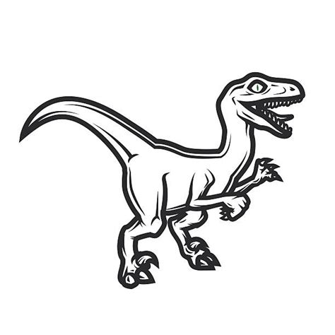 Best Velociraptor Illustrations Royalty Free Vector Graphics And Clip