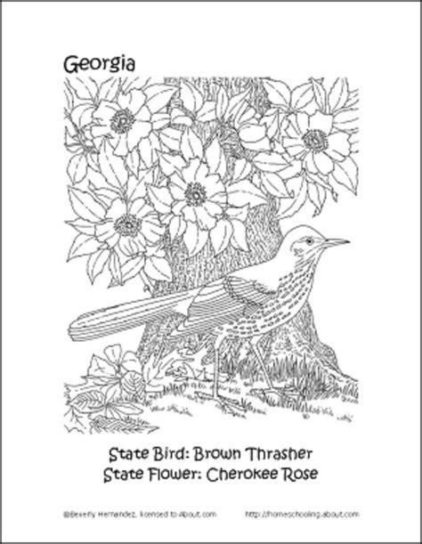 Georgia tradition and culture coloring pages. inkspired musings: Georgia On My Mind with a Cherokee Rose
