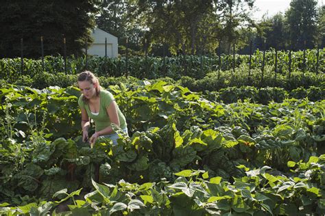 A Michigan Teen Farms Her Backyard The New York Times