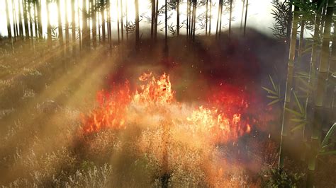 Wind Blowing On A Flaming Bamboo Trees During A Forest Fire 6111151